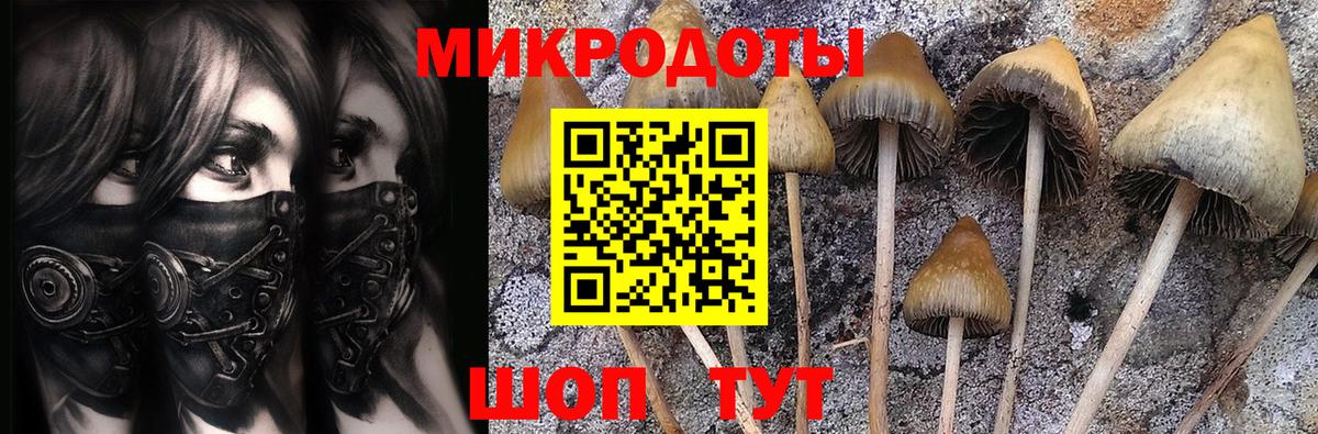где продают   Псилоцибиновые грибы Magic Shrooms  Вход с VPN  Карпинск 